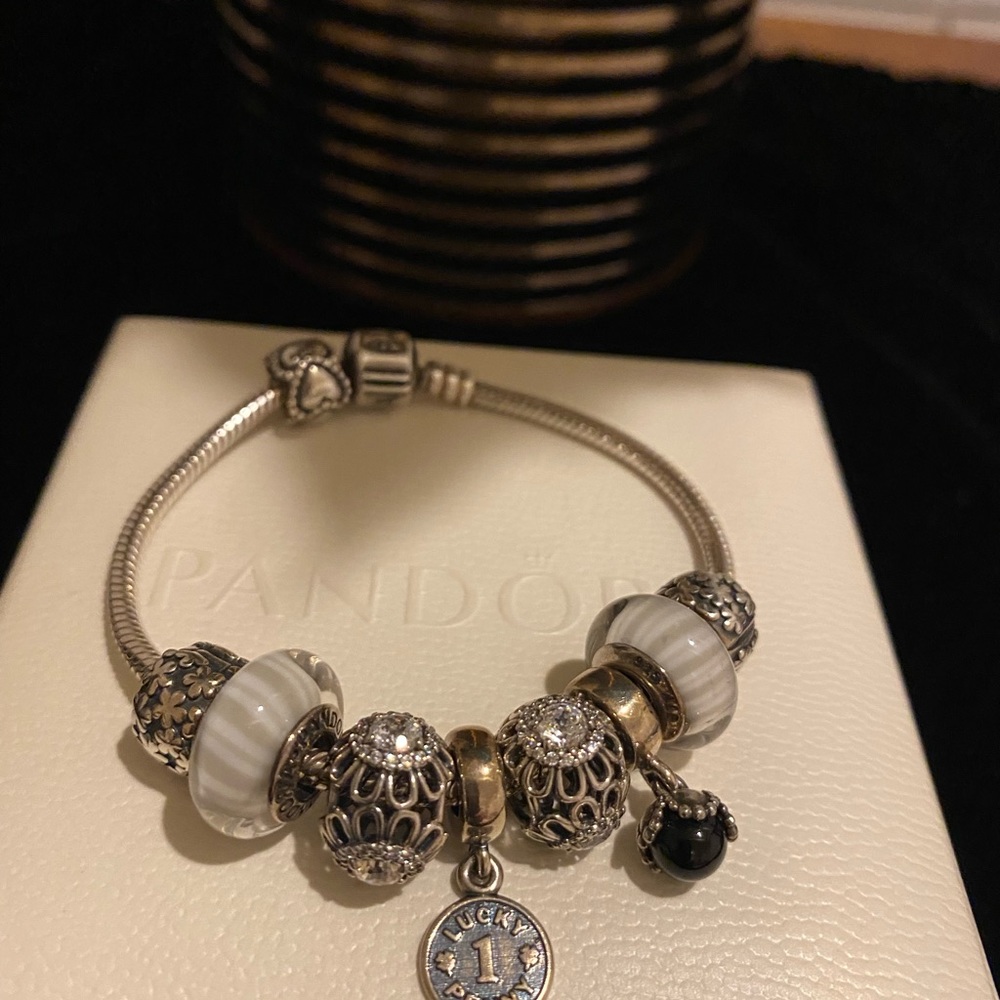 Beautiful Pandora Silver bracelet with charms.